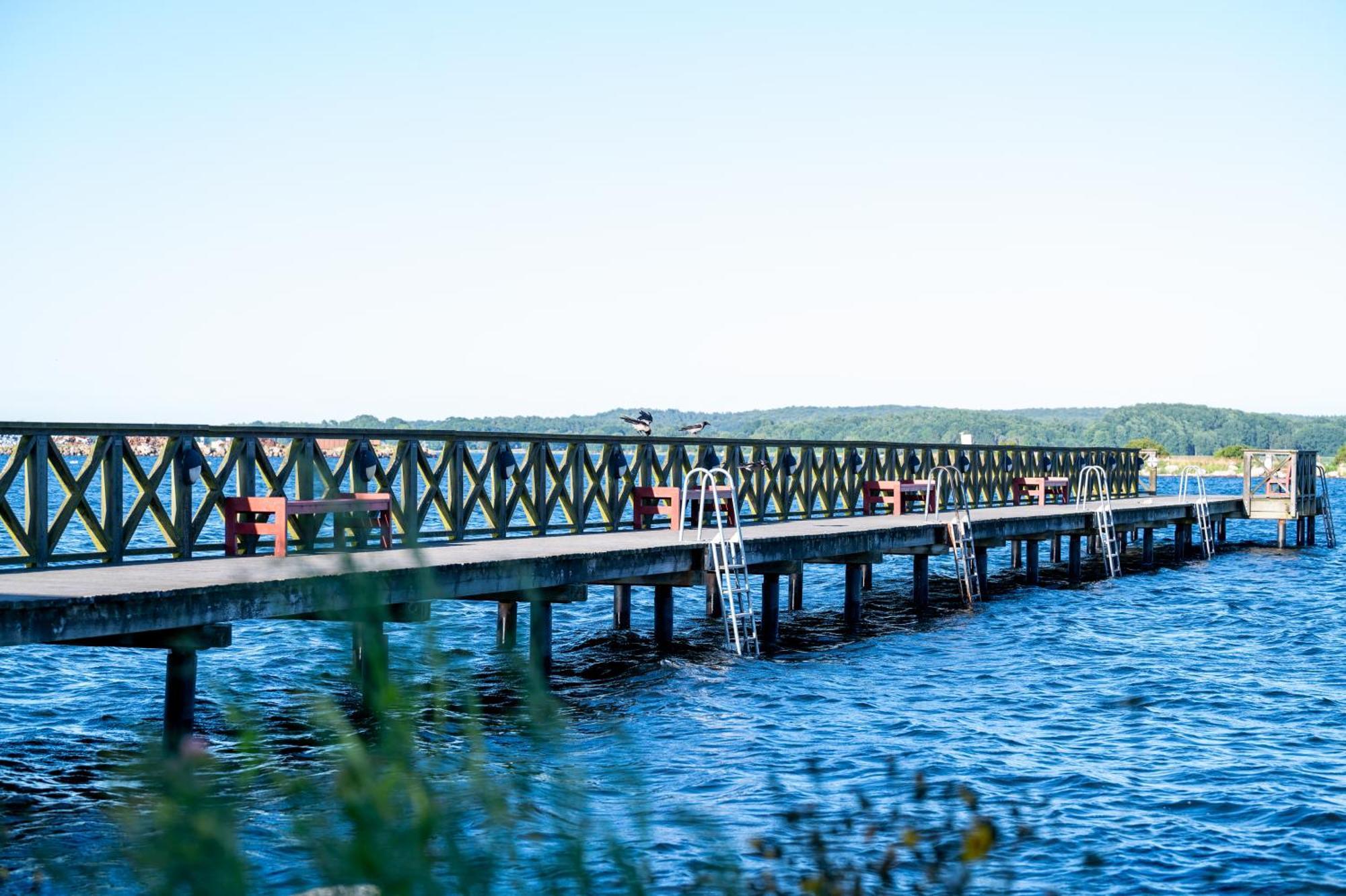 My Camping Tredenborg Sölvesborg المظهر الخارجي الصورة